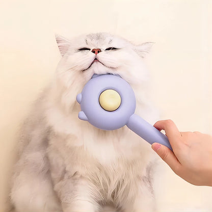 Cat Massage Brush - Neko Chan